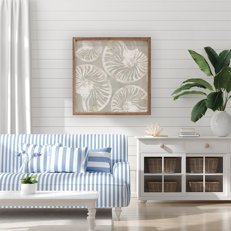 Collection Nautilus Shell par Carol Robinson, H 4 po x l 4 po