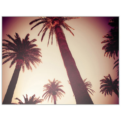 Dreamy Palms 2 Print by Mat Sanders