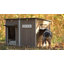 Niche pour chien en bois, chenil avec cadres en fer anti-mâcher pour chien moyen, gris-1453598494