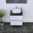 Kaydin 23.6'' Single Bathroom Vanity with Top-970100710-970100708