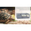 Maison pour tortues en bois Kinyon, habitat intérieur/extérieur pour tortues, gris