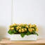 Kalanchoe Arrangement in Fiberstone Planter-1624349390-1646607056