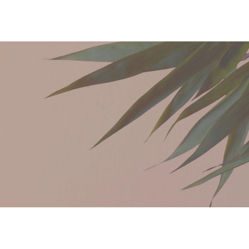 Bamboo Pink III 1 Piece Wrapped Canvas Painting, 20 cm H x 30 cm W, Wrapped Canvas