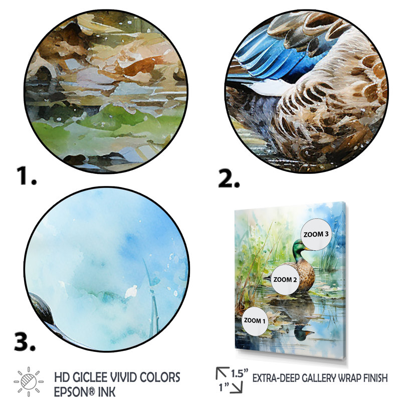 Duck Pond Reflections I - Duck Animal, art mural, Cadre simple noir, H 20 po x l 12 po x P 1 po