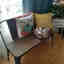Photos des clients 1 de 2