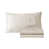 Pumice Stone