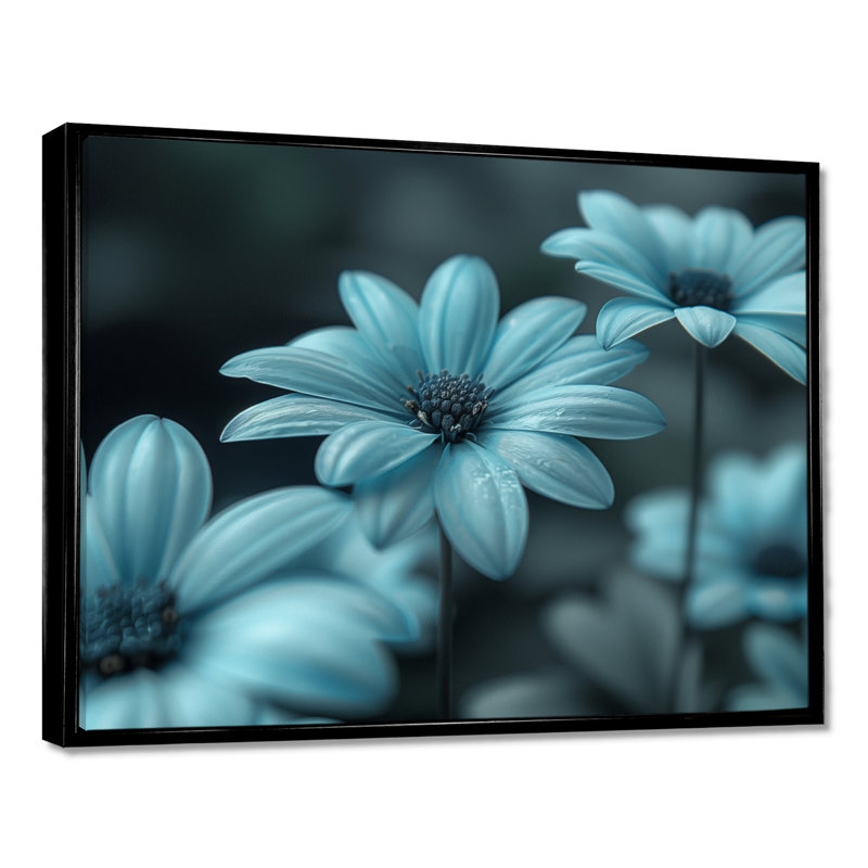 Monochromes bleus et gris marguerites brumeuses Photo III - marguerites, impression d'art mural, Cadre flottant noir