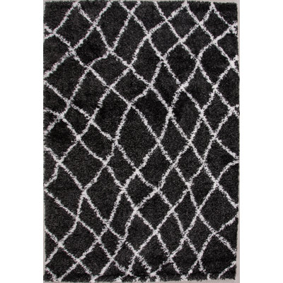 Cedarburg Shaggy Black Rug
