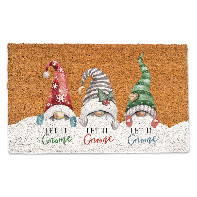 Dniyah Non-Slip Outdoor Doormat