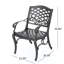 Chaise avec accoudoirs PHOENIX (ensemble de 2)
