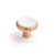 Champagne champagne / blanc mat