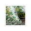 Pomegranate Quilted Sham-49091018-49091017