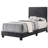 Anjelo Upholstered Standard Bed-810427404-810482055