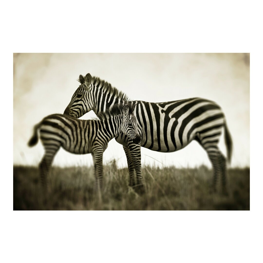 Seidenmatte Fototapete Zebrapaar