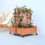 Wood Planter Box-1208638430