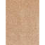 Avgust Solid Colour Area Rug-1484139082
