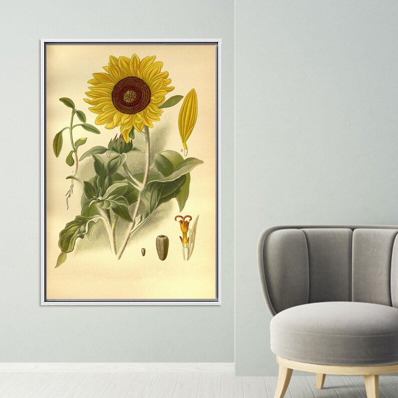 Print on Canvas, 50 cm H x 70 cm W, White Floater Framed