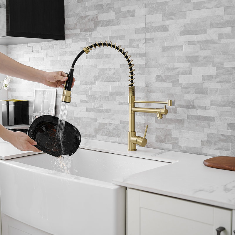 FLG Pull Down Kitchen Faucet