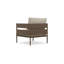Melbourne Club Chair + Cashew Cushion
