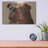 " Bulldog " by Thomas Fluharty