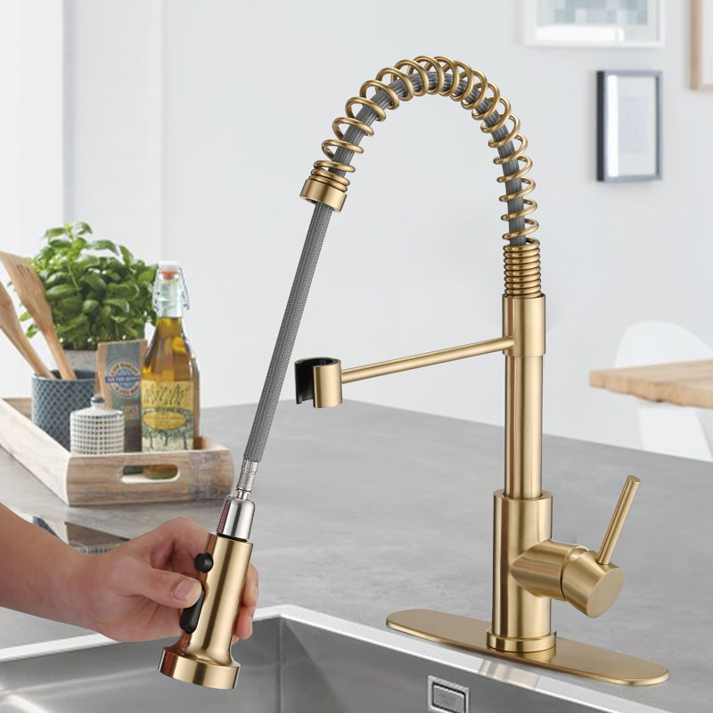 Eqloo Pull Down Kitchen Faucet