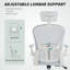 Foam Padding Office Chair-293072164