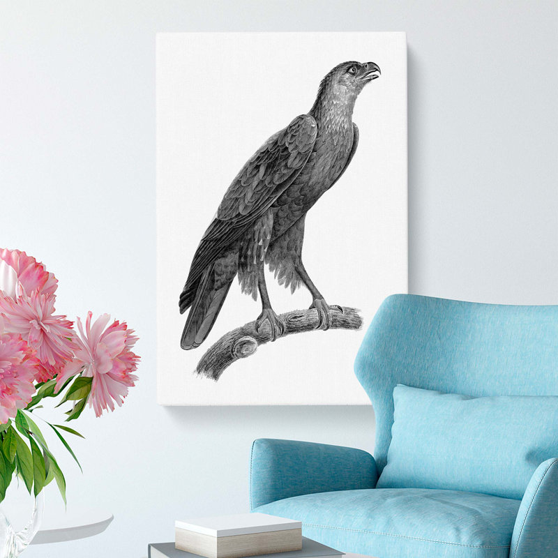 Greater Spotted Eagle - Wrapped Canvas, 50cm H x 35cm W x 3cm D