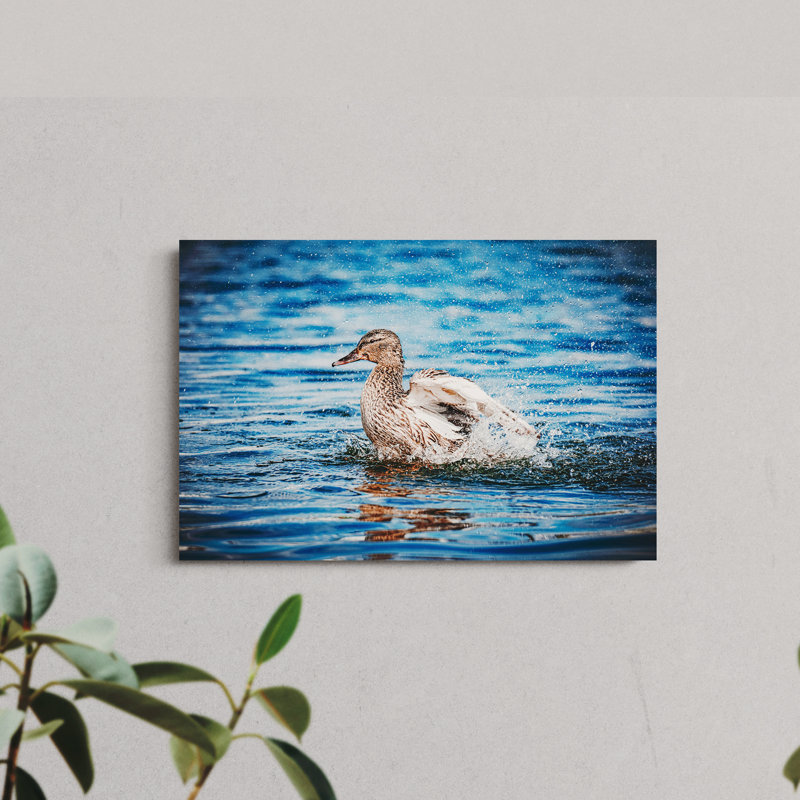 Duck Swimming in a Lake, 8" H x 12" W