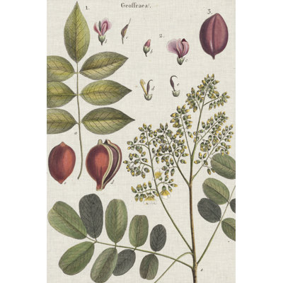Exotic Botanique I - Graphic Art
