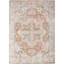 Lago Vista Washable Oriental Indoor Rug-238510487