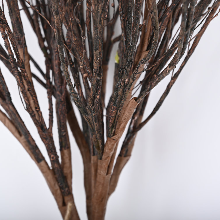 A Bundle Natural Birch Twigs Birch Branches Centerpieces Decorative*1 Home  Q0Z4