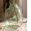 Vase de table en verre vert-368303149
