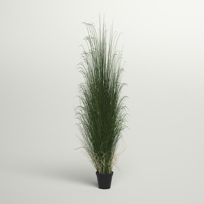 Kellan PVC Artificial Potted Green Curled Grass