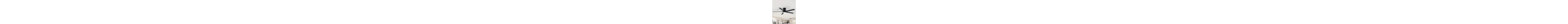 Jayceyon 52'' Large Flush Mount Ceiling Fan With Led Lights and Remote, Quiet Reversible DC Motor, 5 wood Blades Low Profile, Timer, for Indoor/Covered Outdoor Use-1852175517