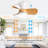 Corabelle 23" 3-Blade Modern Flush Mount Ceiling Fan with Remote Control and Light Kit Included-1776631202