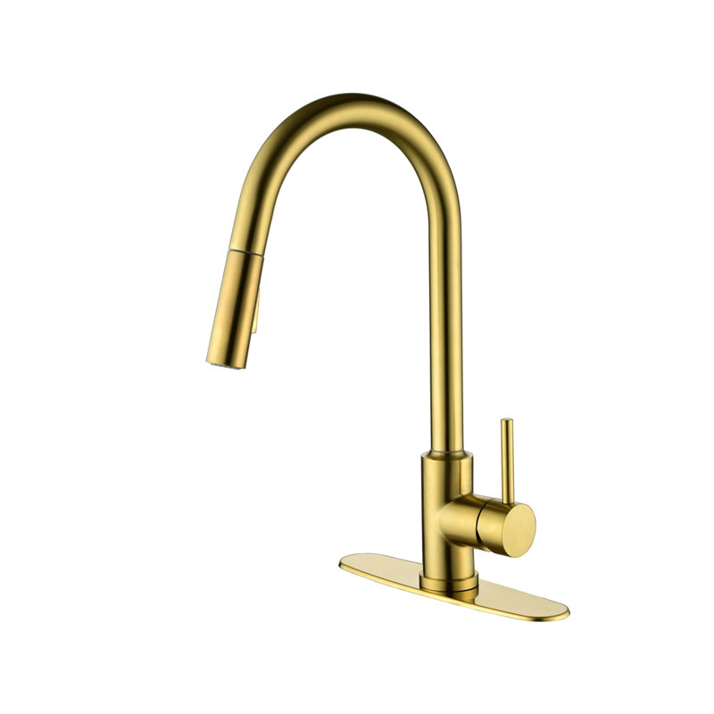 Kitchen Faucet With Pull Down Sprayer, Gold