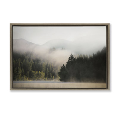  Toile flottante encadrée «Rolling Fog Woodland View» par Carol Robinson