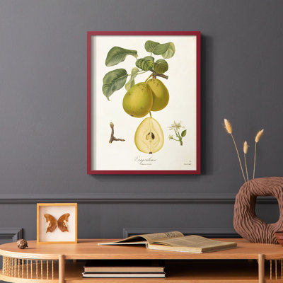 Vintage Pears III Framed Print - Solid Wood