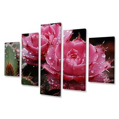 Fleurs de cactus rose en fleurs