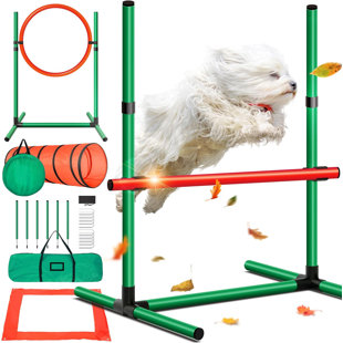 Dog Agility Training Set