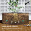 Metal Raised Garden Bed-449169150