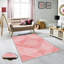 Tapis tissé antibactérien (impression numérique 3D) 4,0 x 5,9 pieds, 100% polyester, hauteur du velours: 0,3 pouce | Dessous en PVC feutre antidérapant, lavable à la machine, parfait pour le salon et la chambre à coucher-2032885103