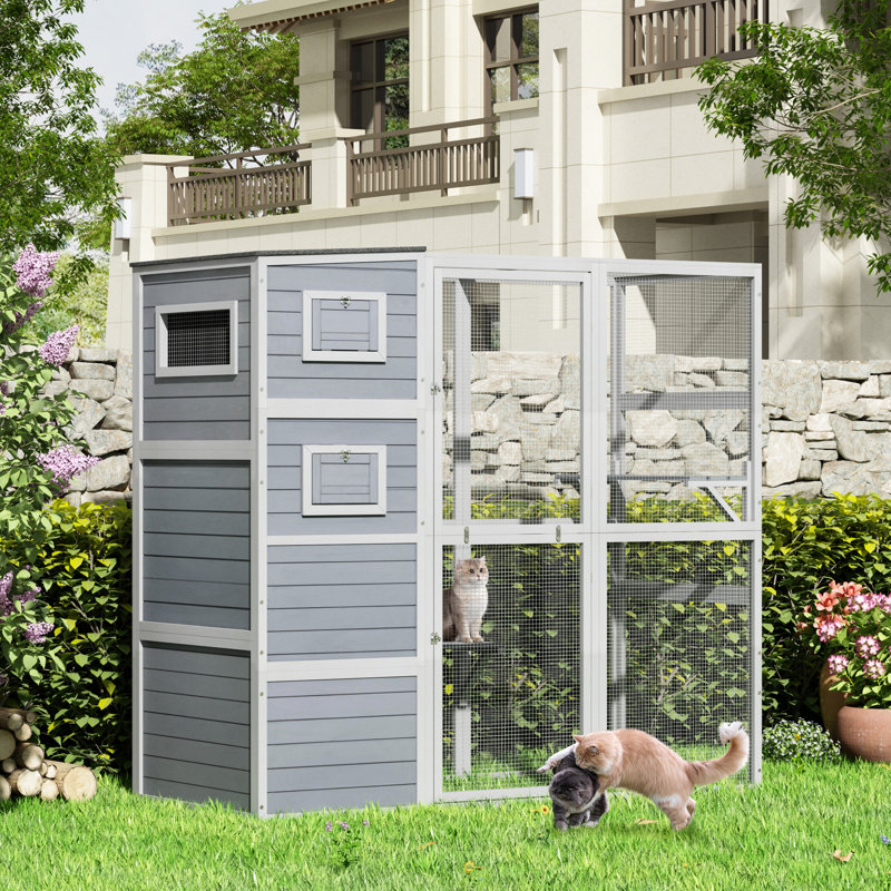Cat Cage