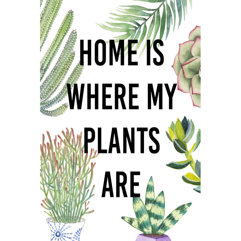 Plant Love VI by Studio W - Wrapped Canvas Print, 46cm H x 30cm W