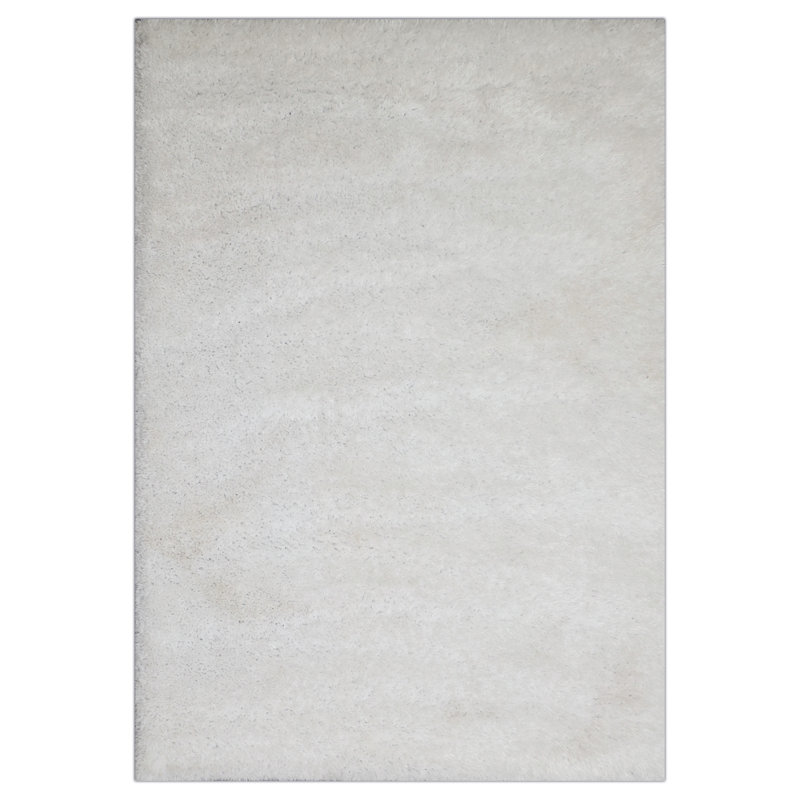 Arriaga Hand Tufted Shag Indoor Rug