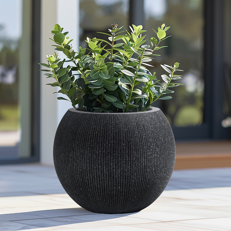 Anjonette 14.5'' D Round Bowl Black Planter, Mediterranean Style Plastic Plant Pot, Black