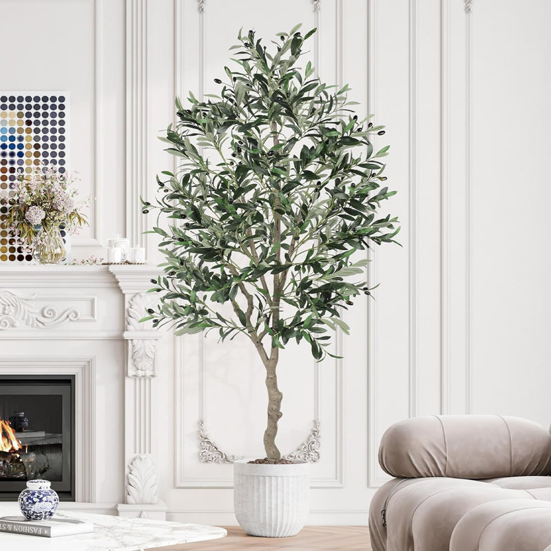 180cm Plant