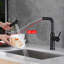 Belfry Kitchen Willesden Pull Out Kitchen Faucet-828488637
