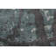 Tapis abstrait à motif naturel 5 x 7
