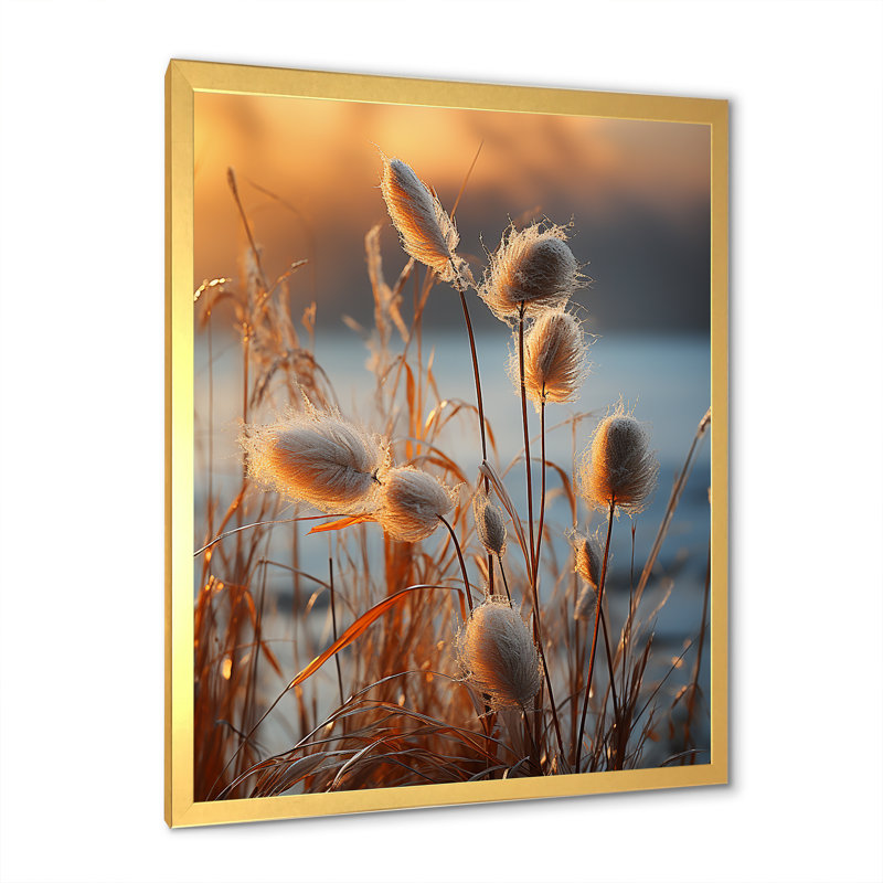 «Beachgrass Sunset Nature Herbs I», reproduction d'art sur toile, H 40 po x l 30 po x P 1,5 po, Cadre doré simple